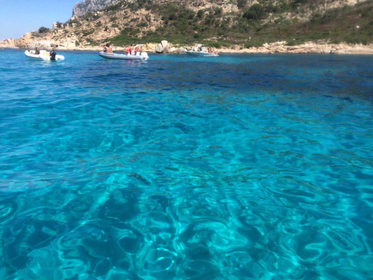 Casa Sul Mare Golfo Dell'Asinara I Leilighet Porto Torres Eksteriør bilde