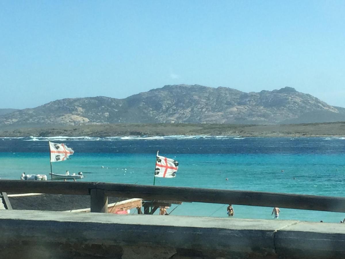Casa Sul Mare Golfo Dell'Asinara I Leilighet Porto Torres Eksteriør bilde